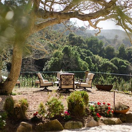 Quinta Da Bella Vista - Historic Home And Farm Sintra Ngoại thất bức ảnh