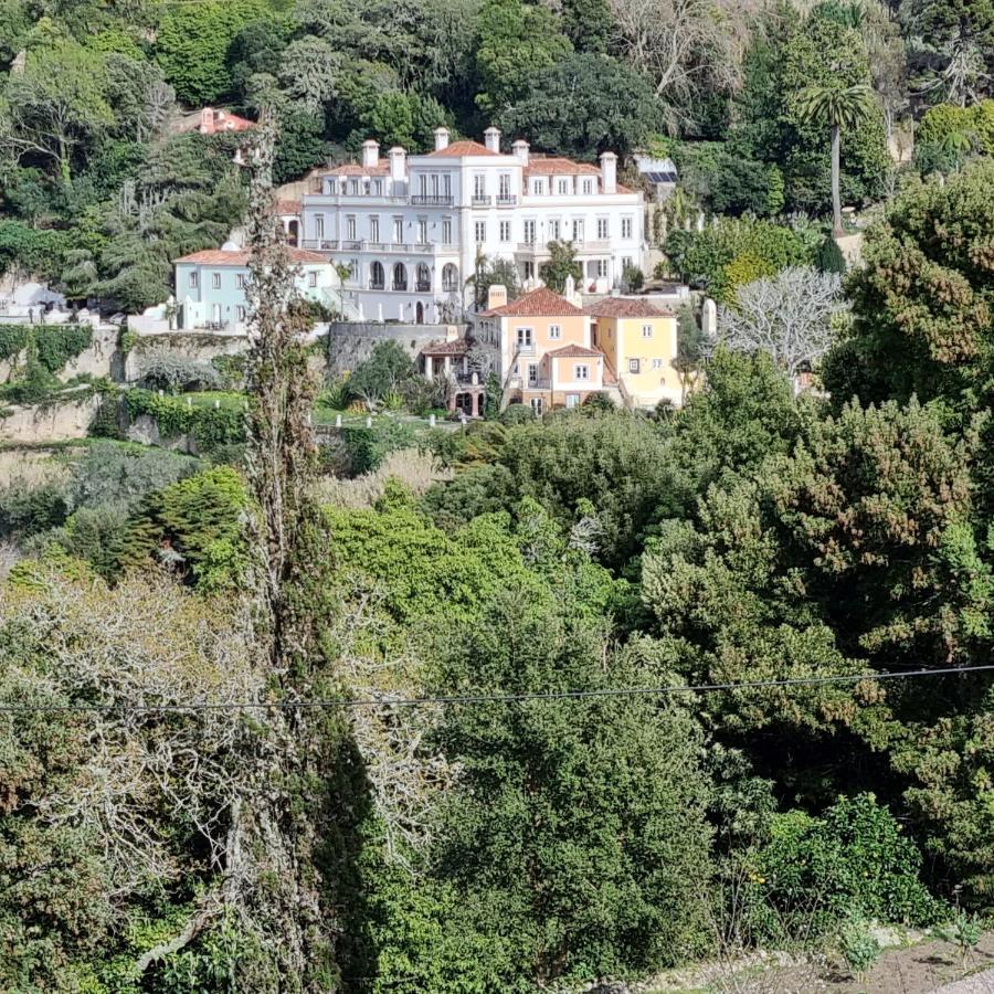 Quinta Da Bella Vista - Historic Home And Farm Sintra Ngoại thất bức ảnh